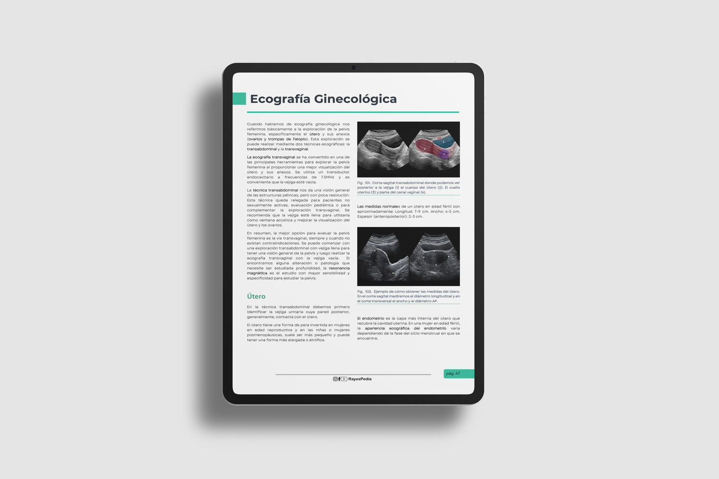 El ABC de la Ecografía Abdominal