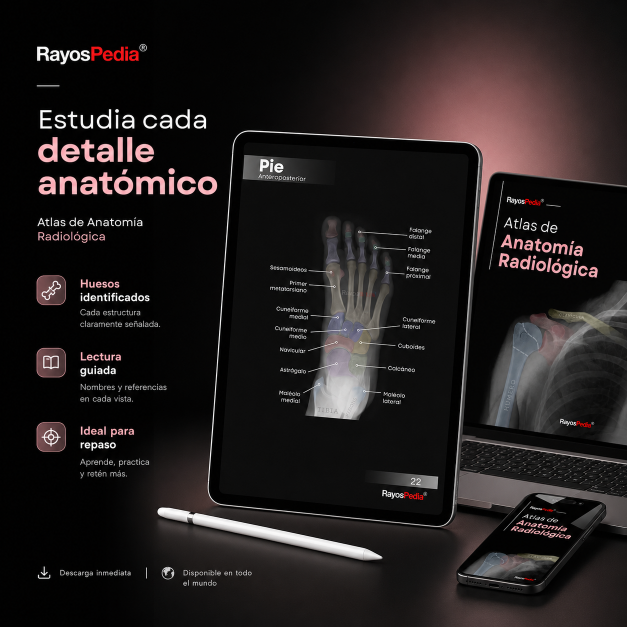 Atlas de Anatomía Radiológica